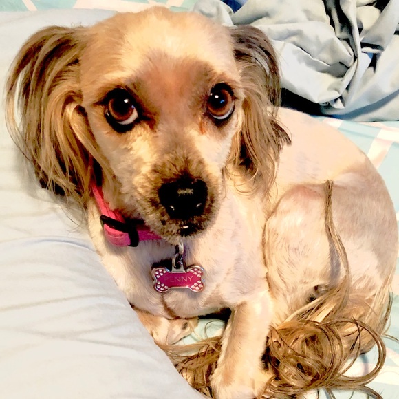 Meet your Posher, Hilda - Picture 1 of 1